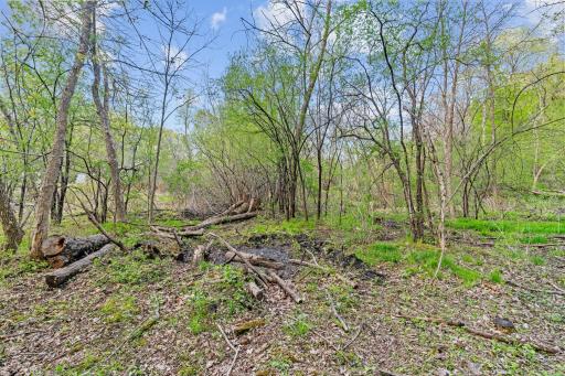 445 Bovey Road, Wayzata, MN 55391