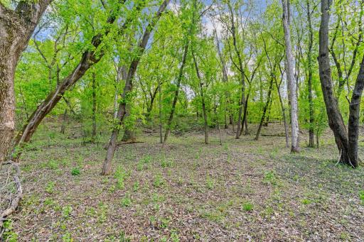 445 Bovey Road, Wayzata, MN 55391