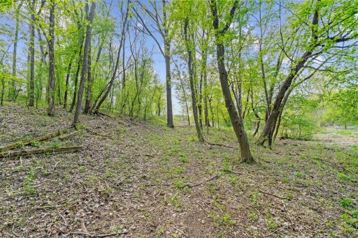 445 Bovey Road, Wayzata, MN 55391