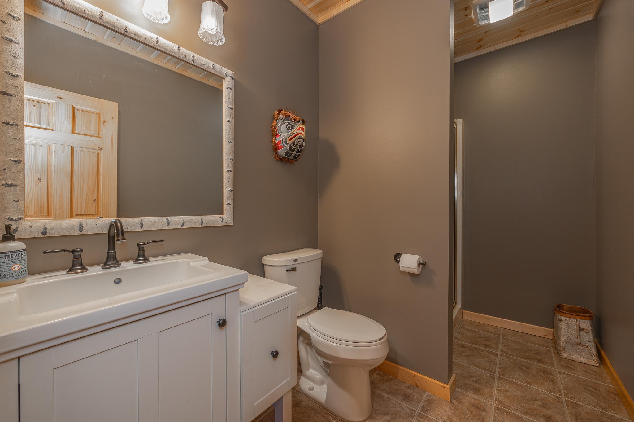 Lower level bathroom