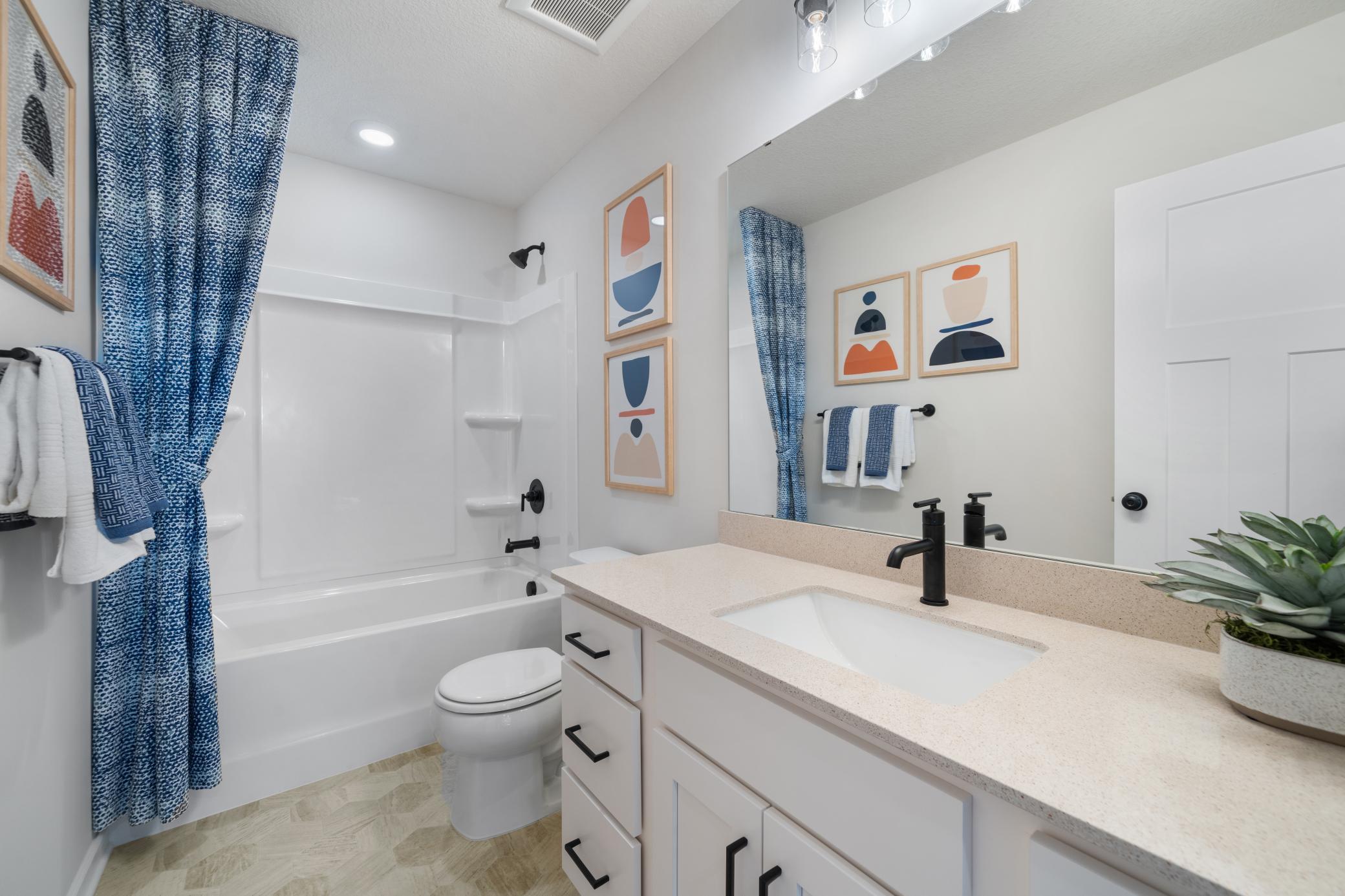 Rendering for illustration purposes