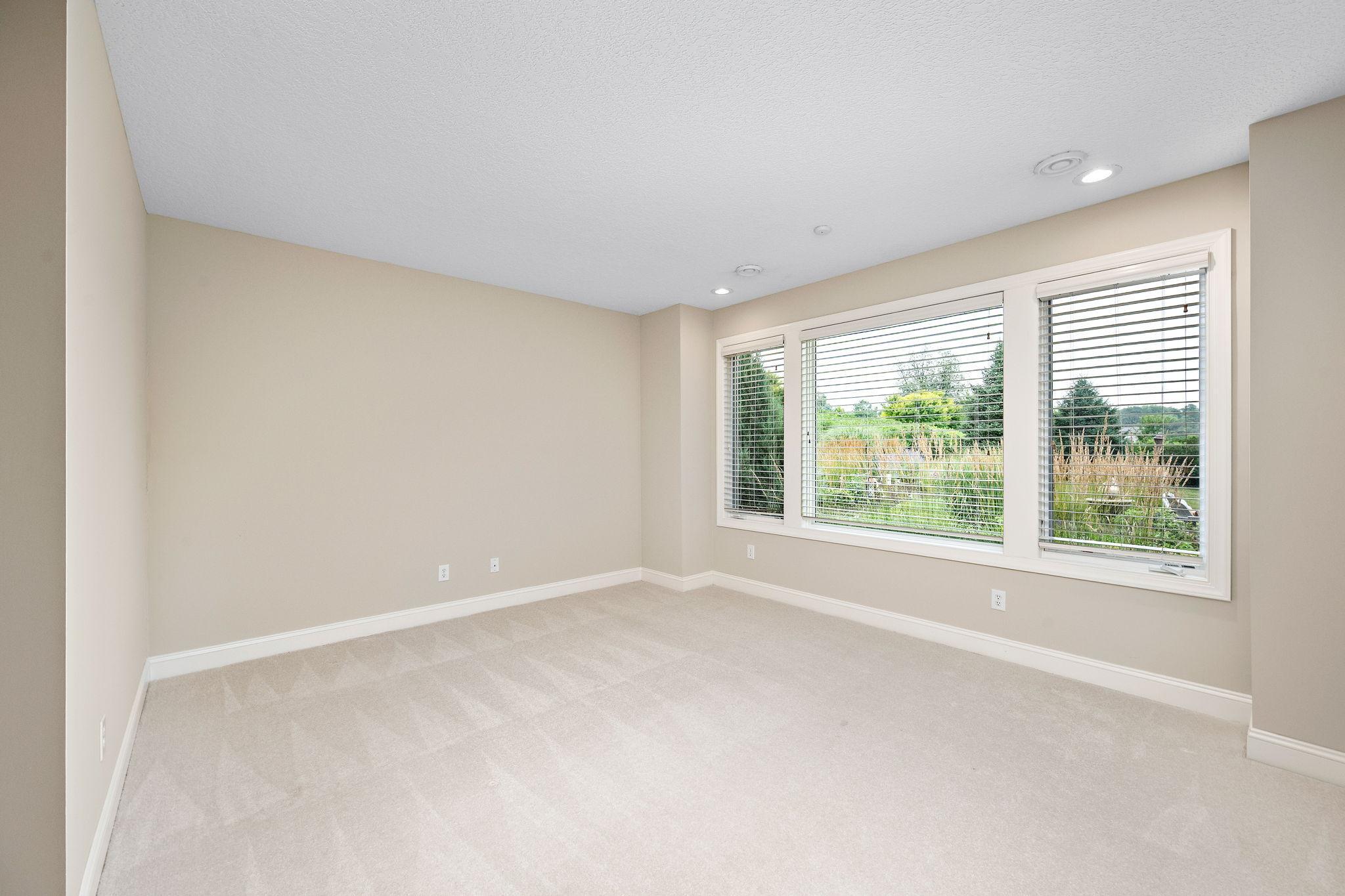 Lower level bedroom 3