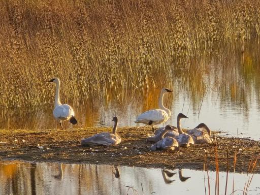 IMG_20250821_155407 (20).jpg