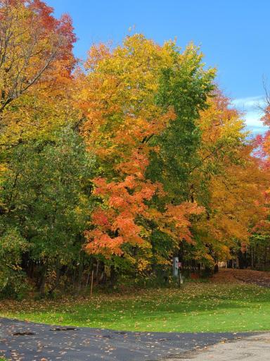 IMG_20250821_155407 (7).jpg