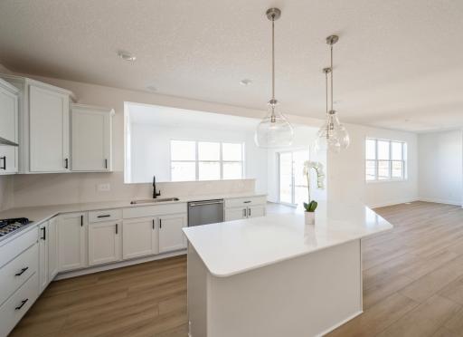 (Photos of model home, finishes will vary)
