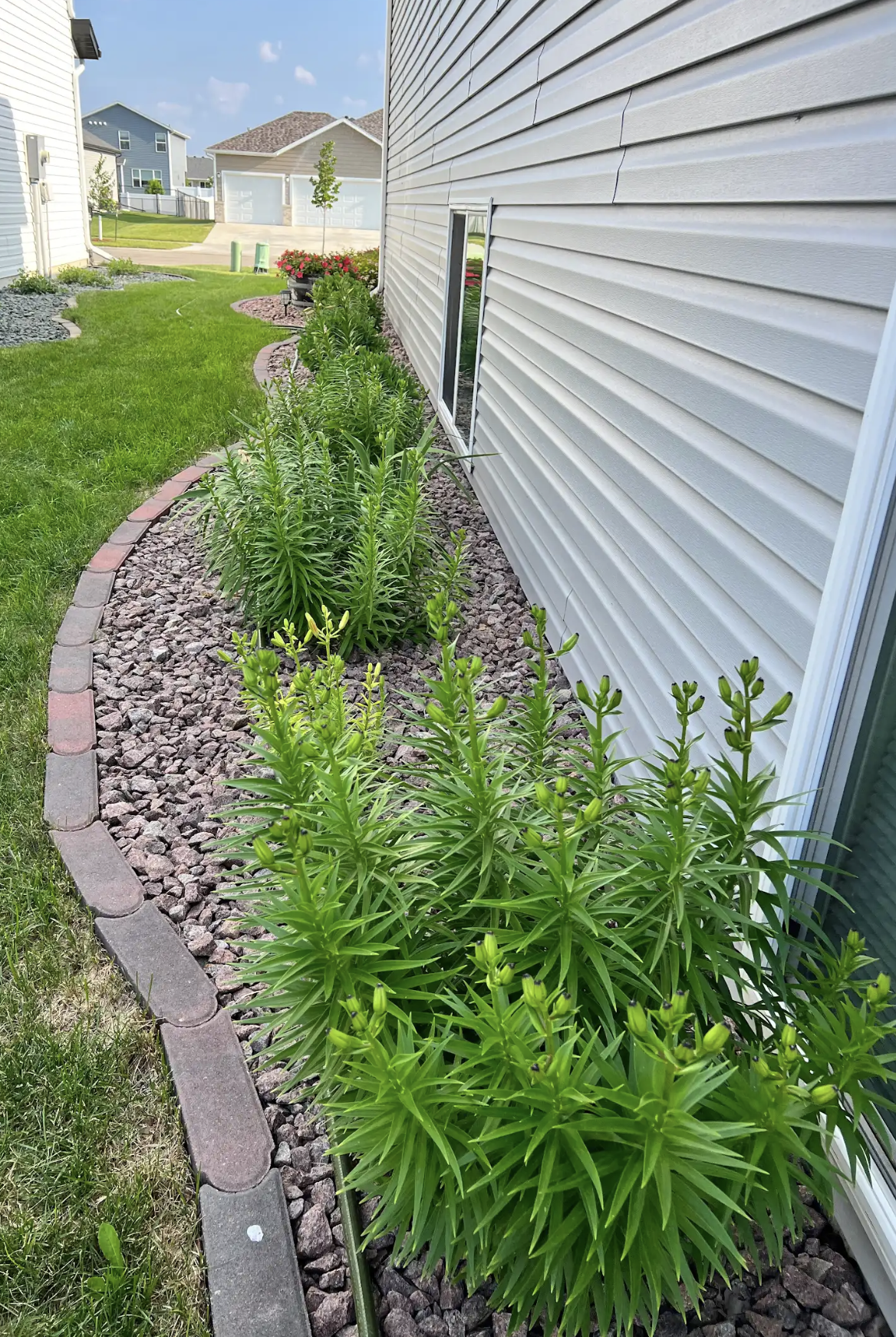 Summer Exterior