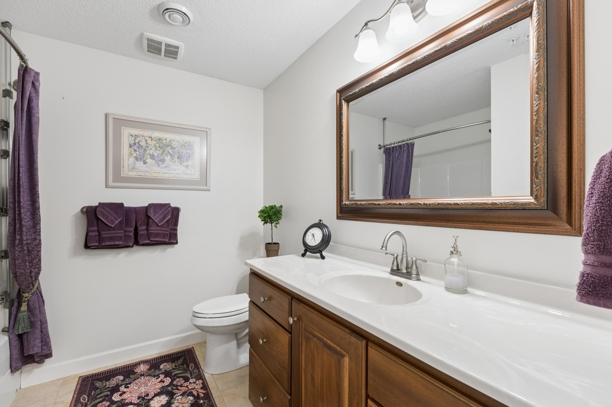 Lower Level Bath