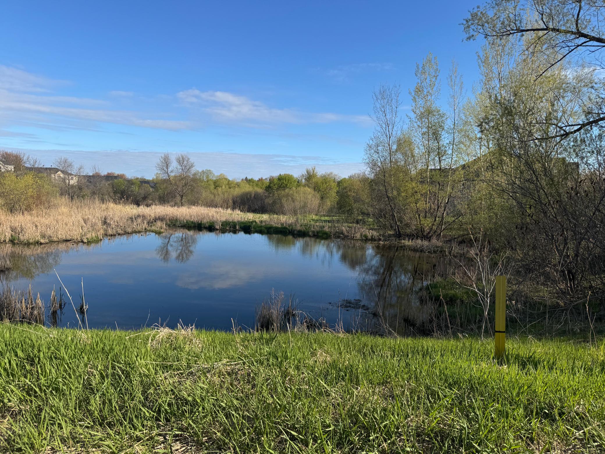 Neighborhood Pond