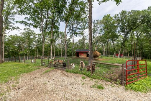 9005 80th Avenue SE, Chatfield, MN 55923