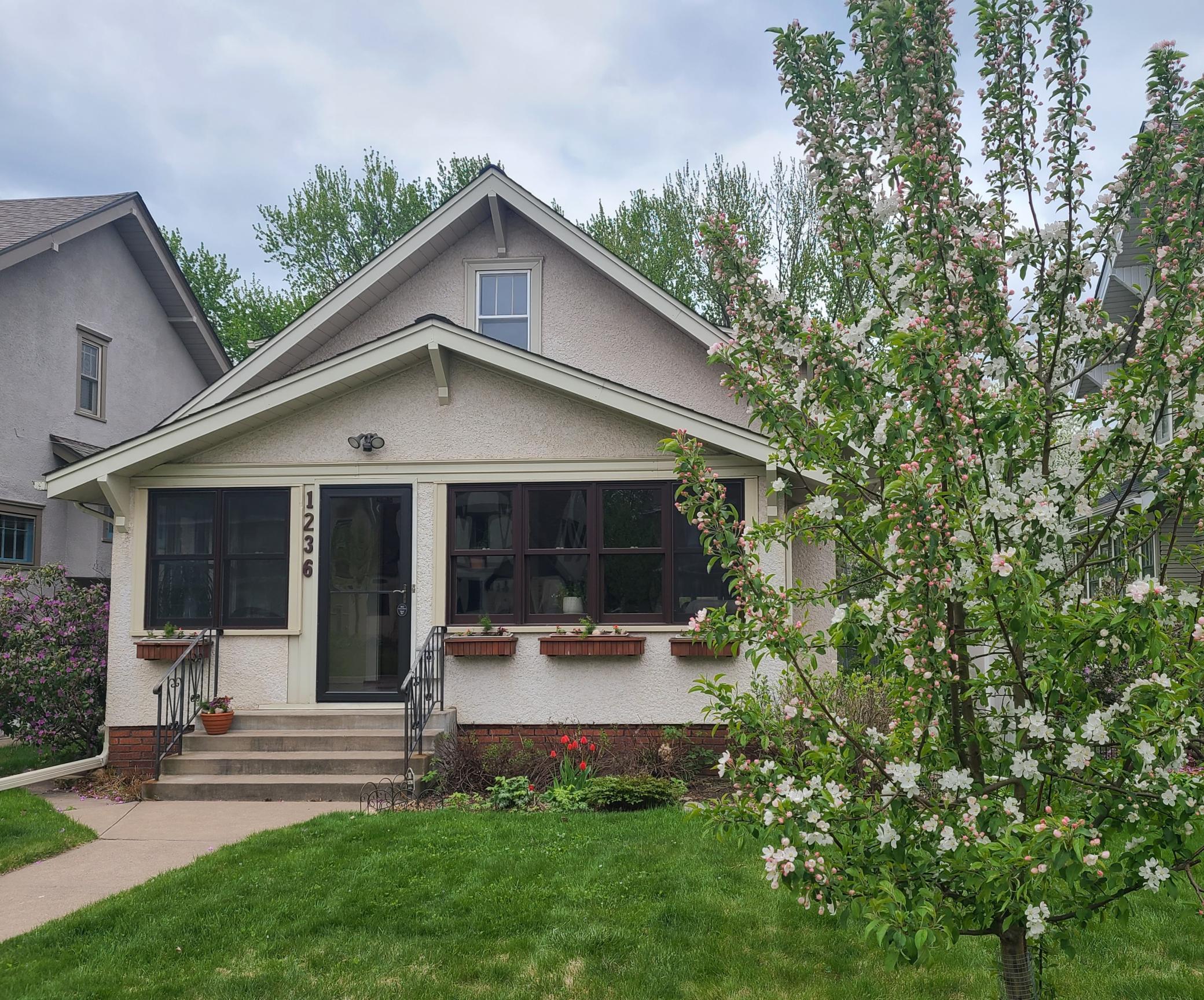 Front Apple Tree