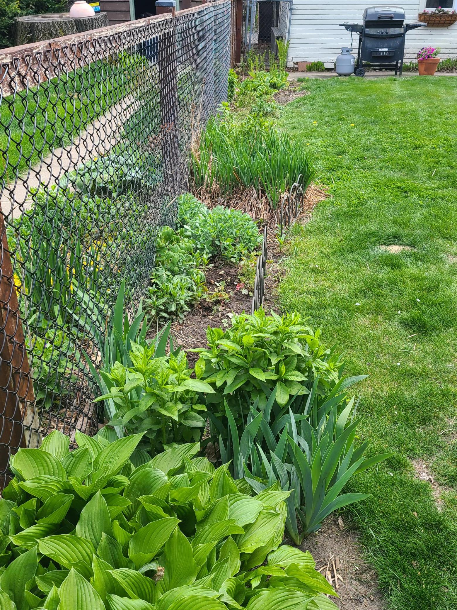 Flower gardens