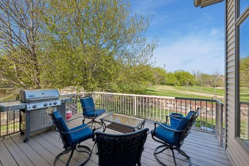 1676 Isabella Parkway, Chaska, MN 55318
