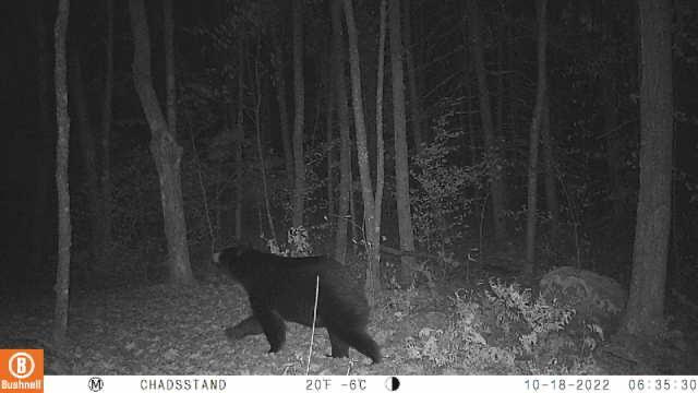 IMG_1829.JPG