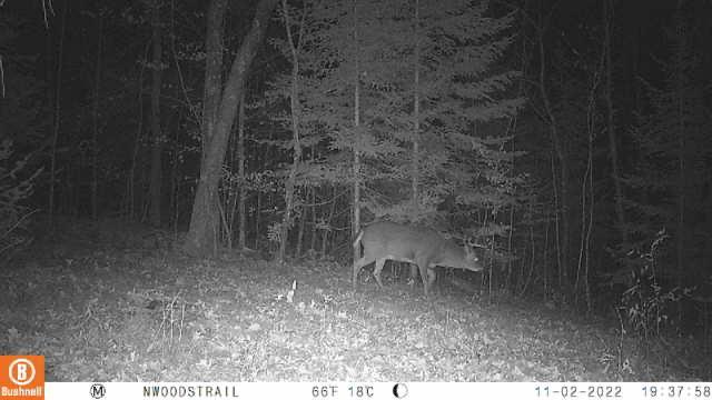 IMG_1867.JPG
