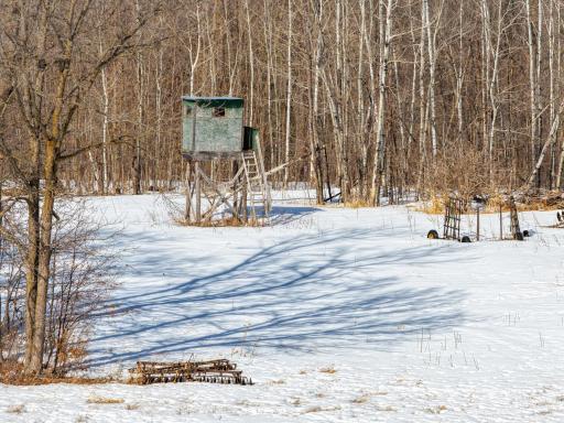 38322 141st Avenue, Bagley, MN 56621