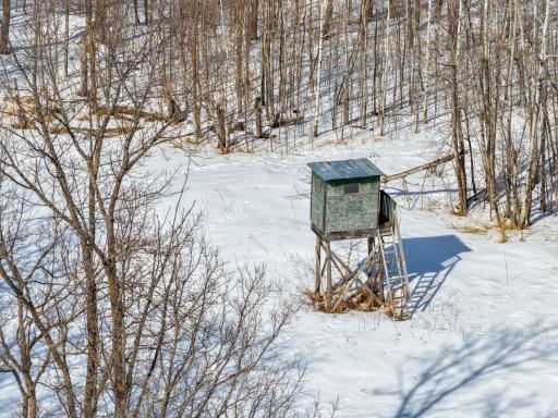 38322 141st Avenue, Bagley, MN 56621