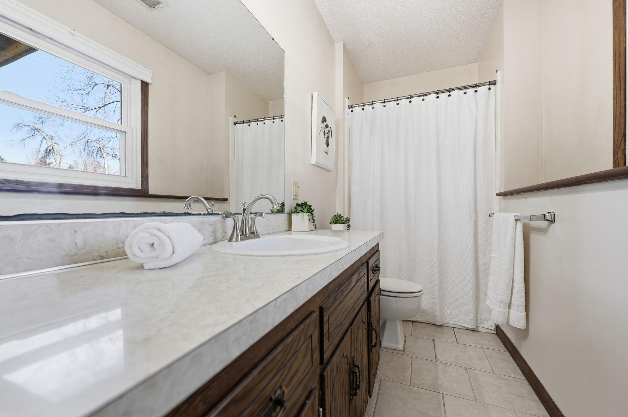 Lower level bathroom