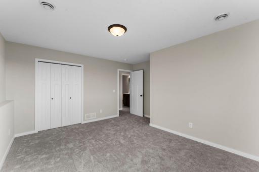 Lower level fourth bedroom