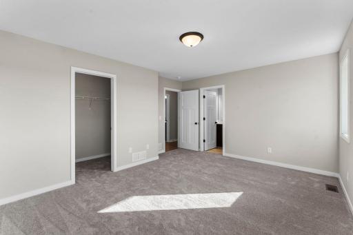Primary bedroom with walk-in closet