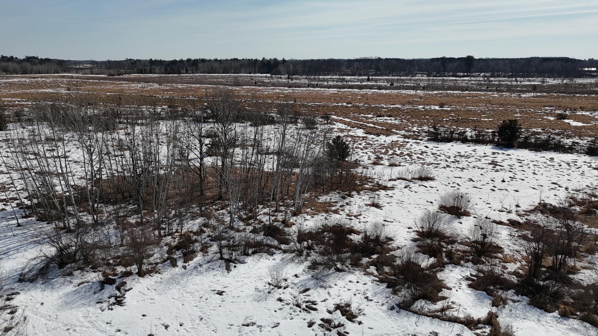 DJI_20260302131236_0241_D.JPG