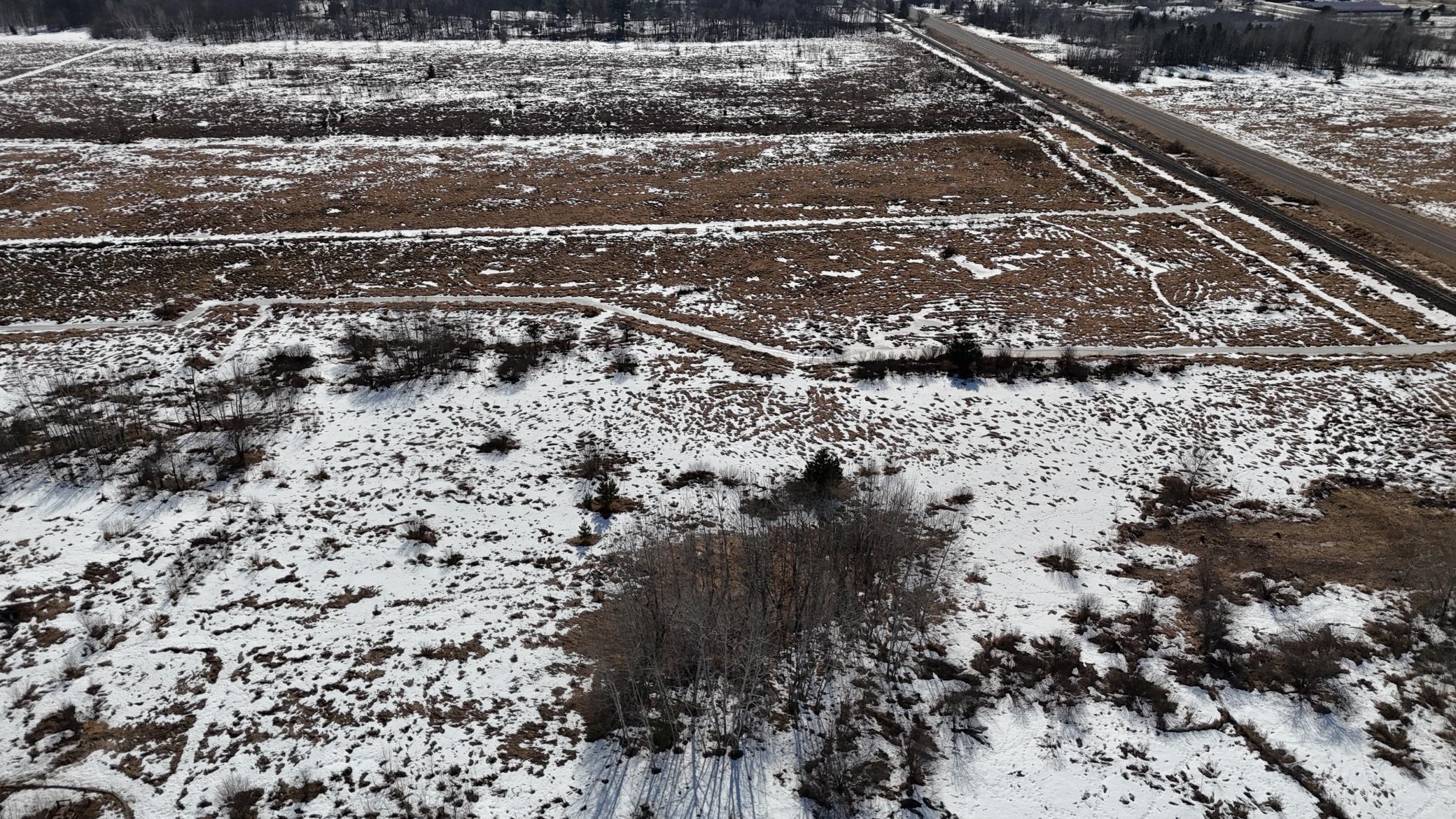 DJI_20260302130345_0219_D.JPG