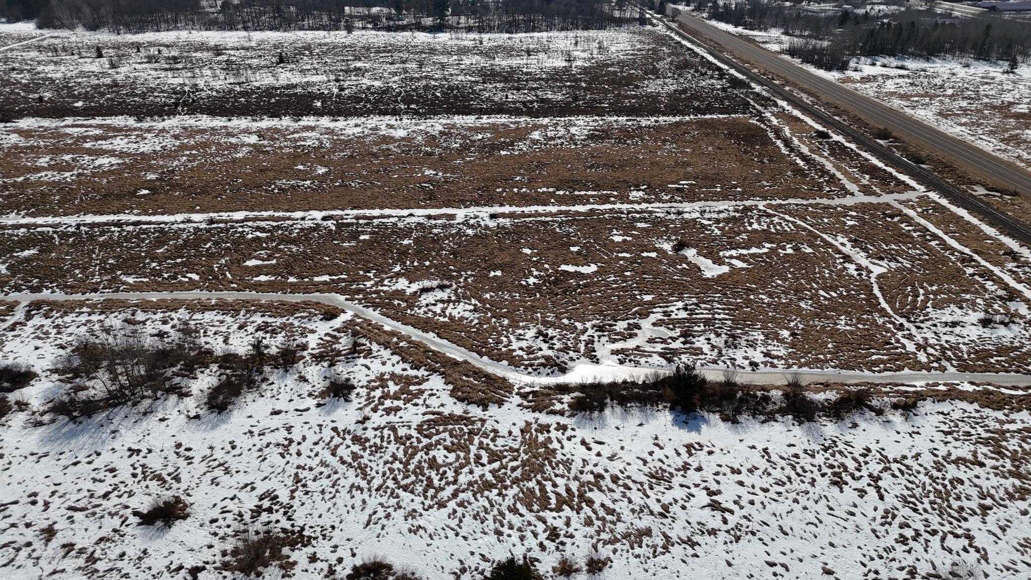 DJI_20260302130357_0220_D.JPG