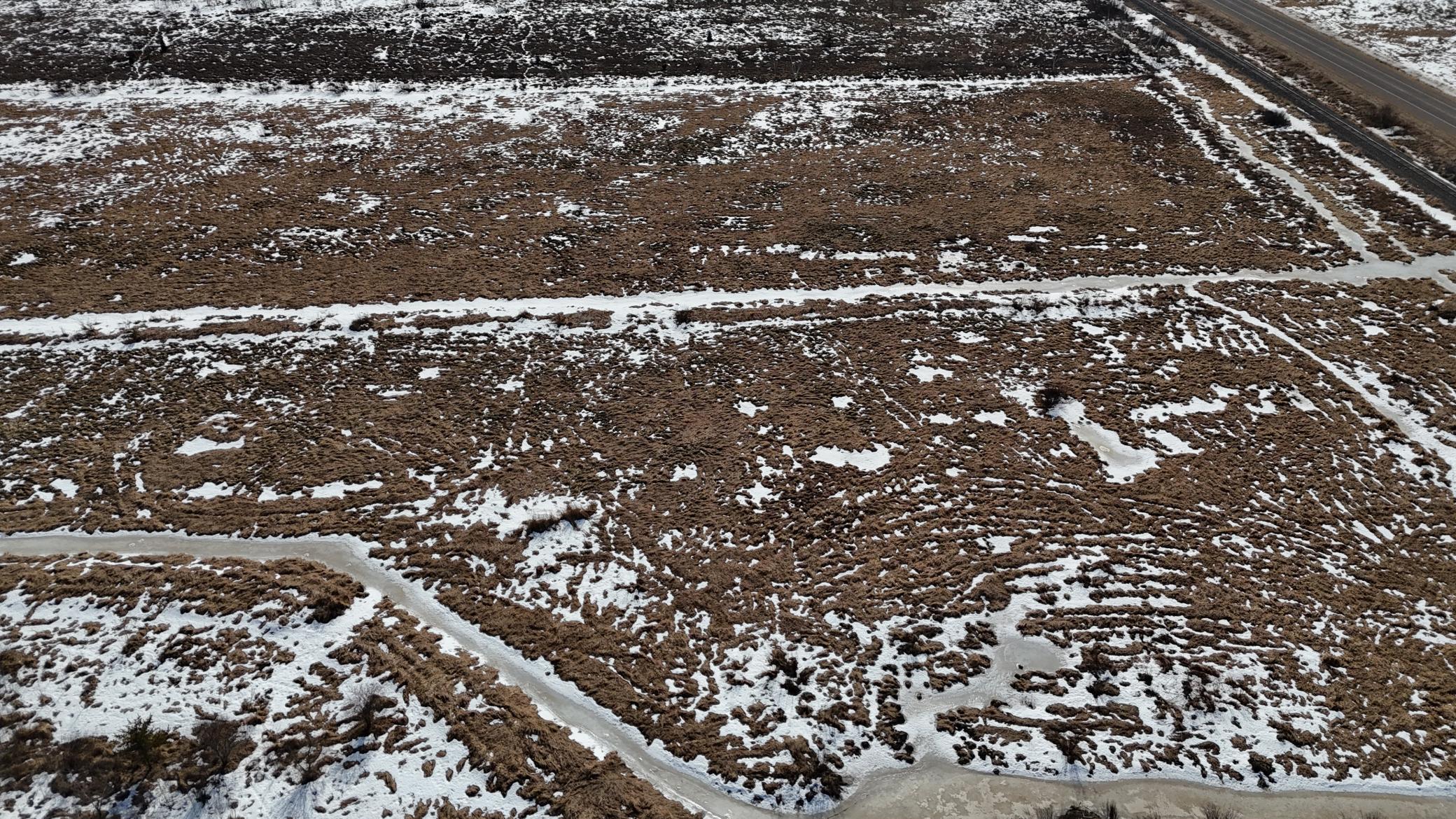 DJI_20260302130408_0221_D.JPG