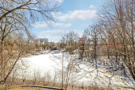View from the patio of the pond and wooded area.