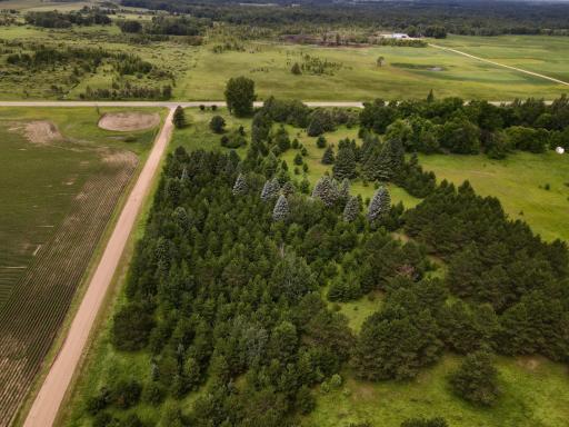 dji_fly_20260708_120234_990_1783530166617_photo.jpeg