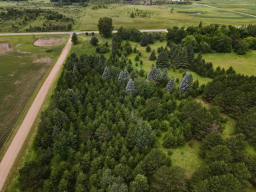 dji_fly_20260708_115830_982_1783529923163_photo.jpeg