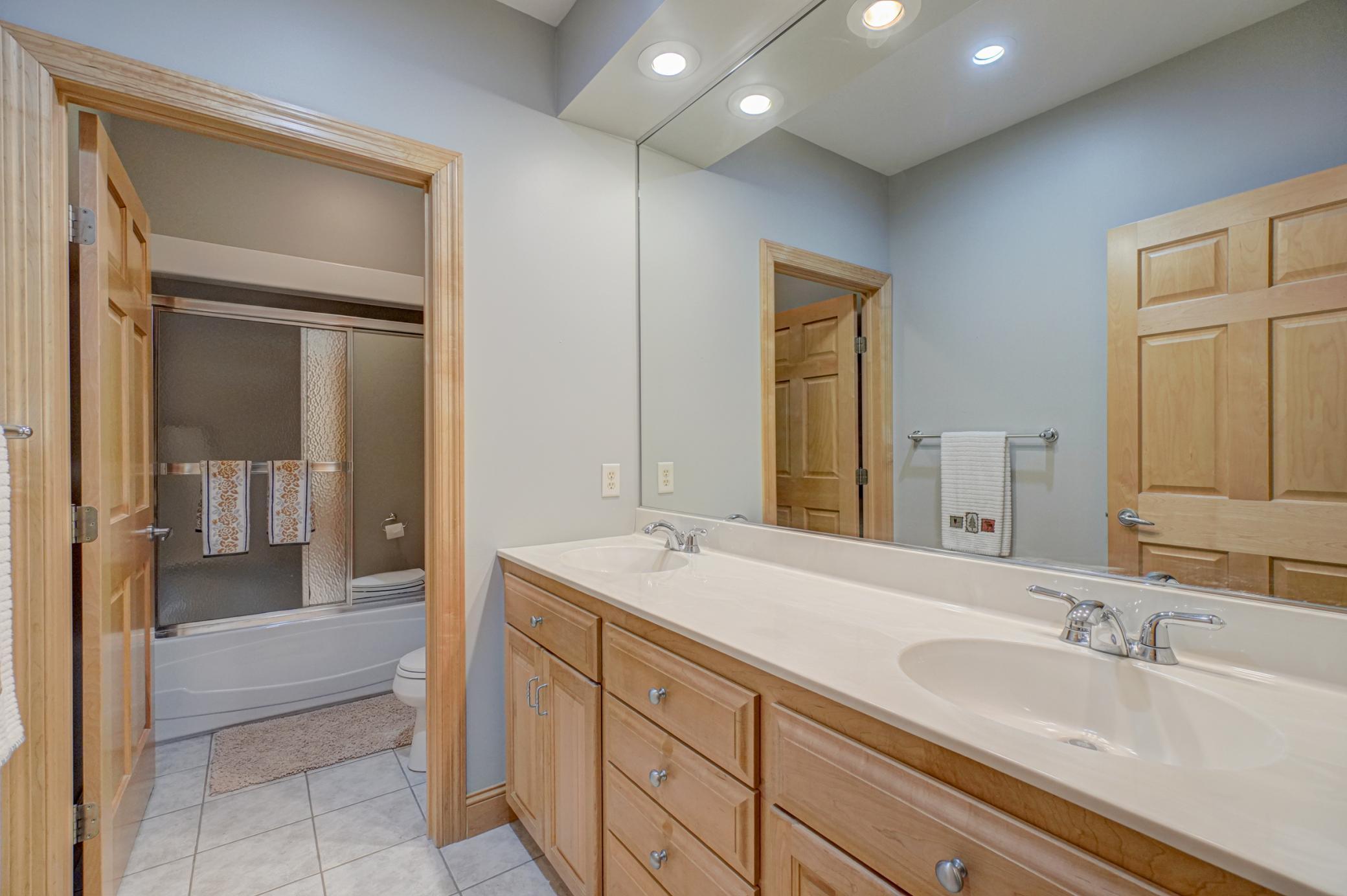 Lower level bathroom