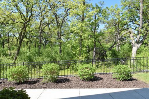 Gorgeous View from Front Door - Mature Oak Trees Give You Privacy.jpg