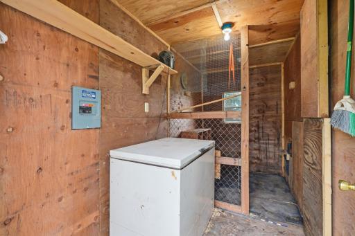 Inside Chicken coop or Kennel