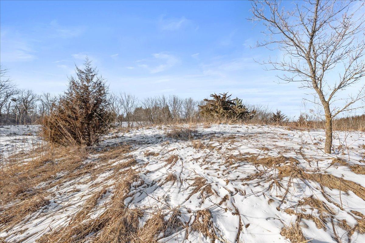 Looking to the North towards the high point of the lot; the Lot lines are marked