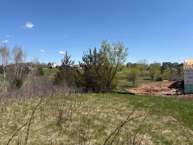 Looking to the North towards the high point of the lot; the Lot lines are marked