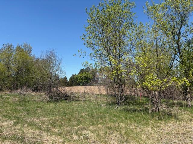 To the West an overlook view of a neighboring treelined 40 acre parcel