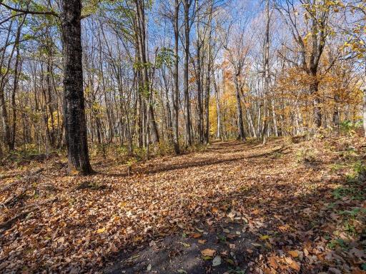 11095 Ottertail Point Drive NW, Cass Lake, MN 56633