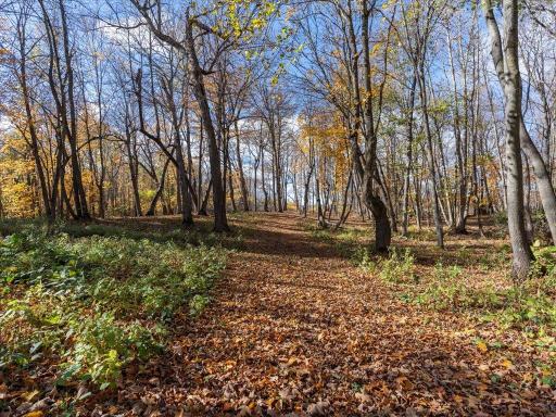 11095 Ottertail Point Drive NW, Cass Lake, MN 56633