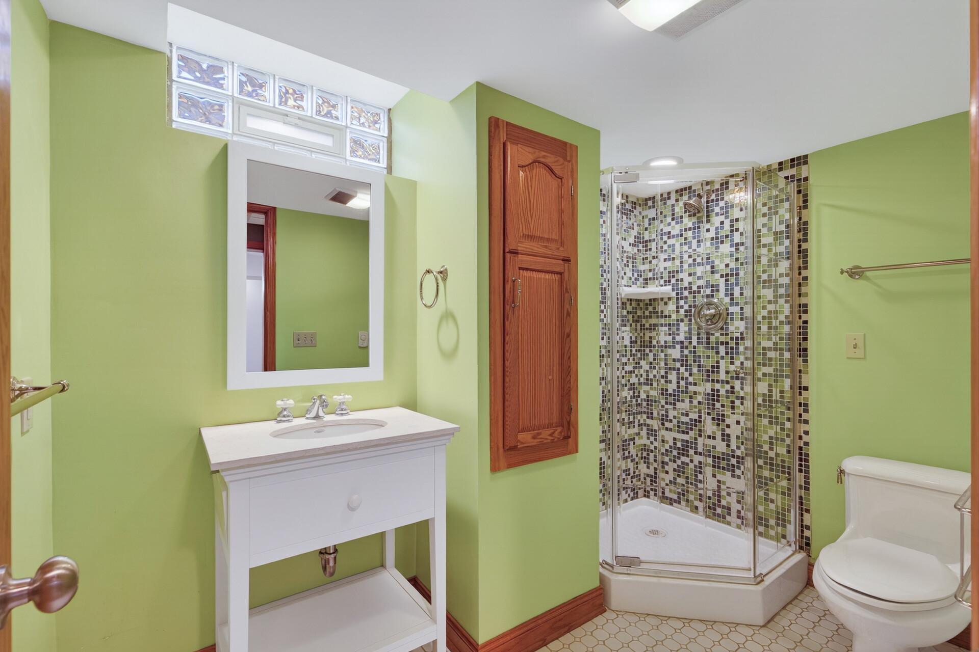 Lower level bathroom