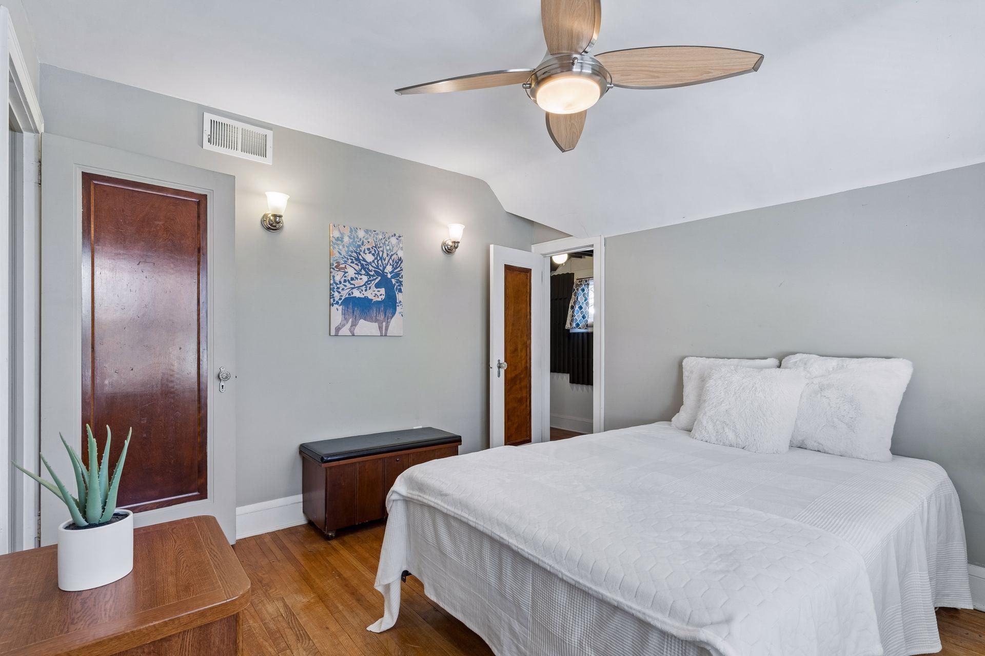 You see the door to the walkthrough closet on the right.