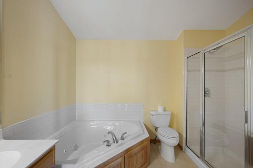 14313 Savanna Oaks Drive, Savage, MN 55378