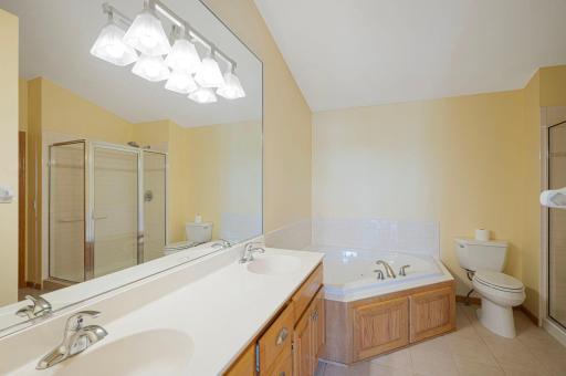 14313 Savanna Oaks Drive, Savage, MN 55378