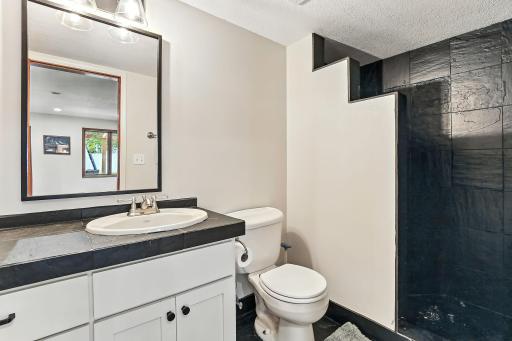 Lower level bathroom with walk-in shower