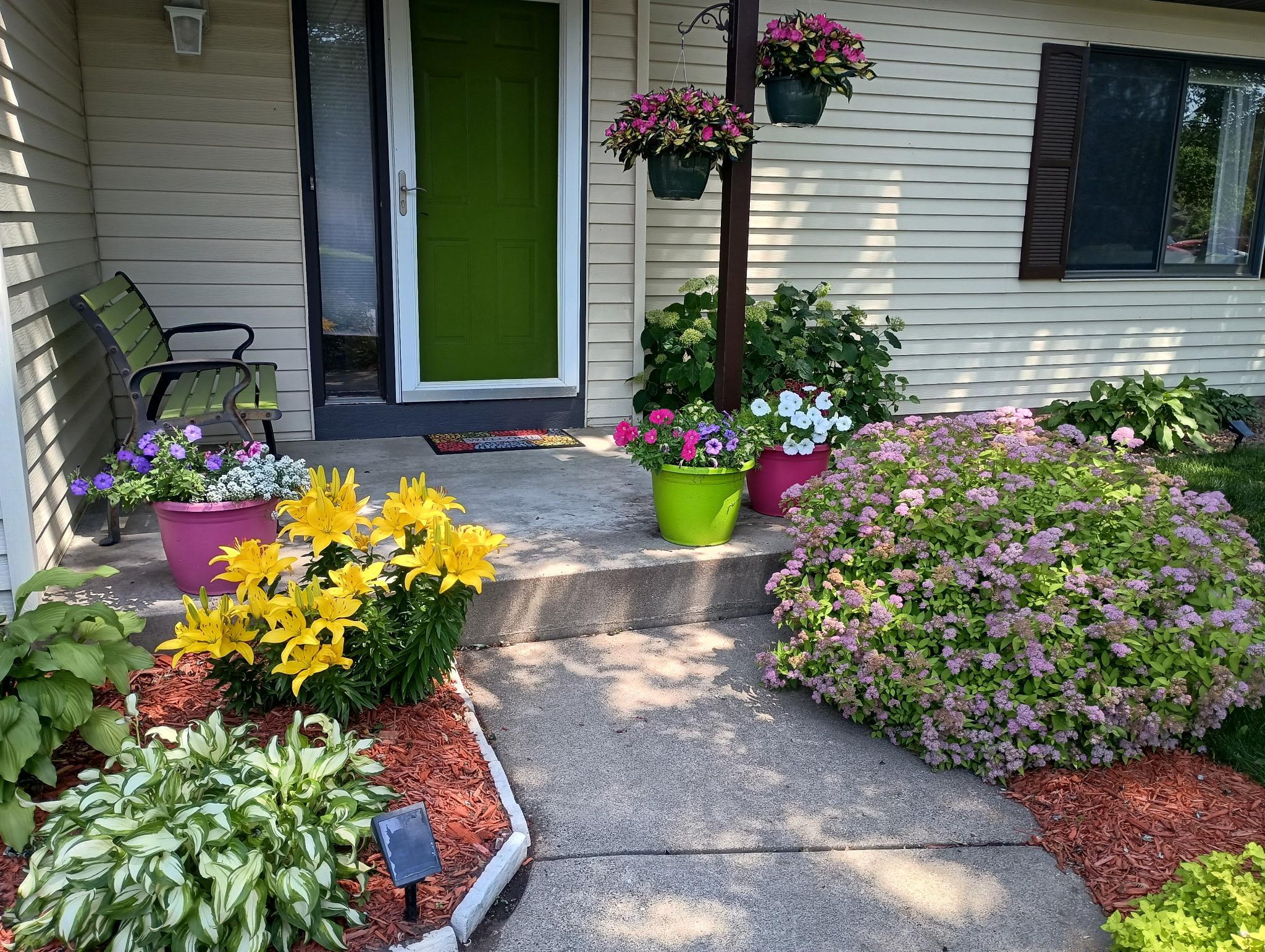 Summertime perennials