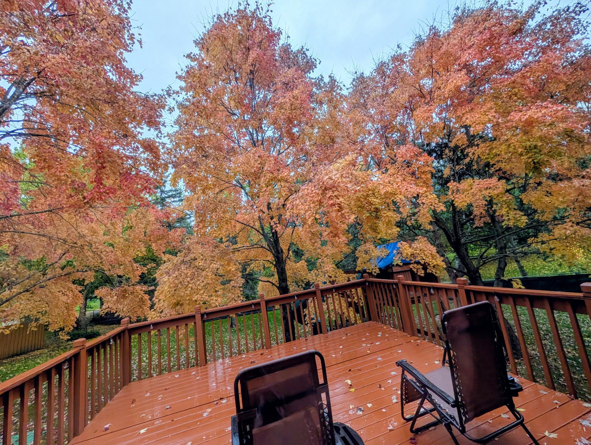 Gorgeous fall colors