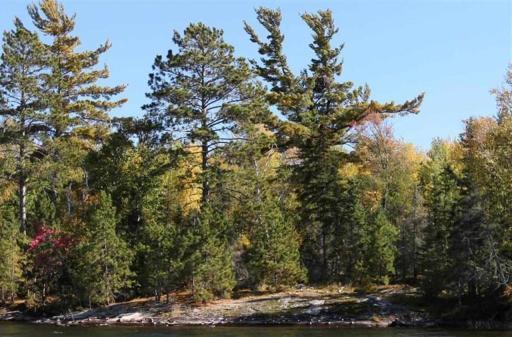 9 Active Eagles Nest.jpg