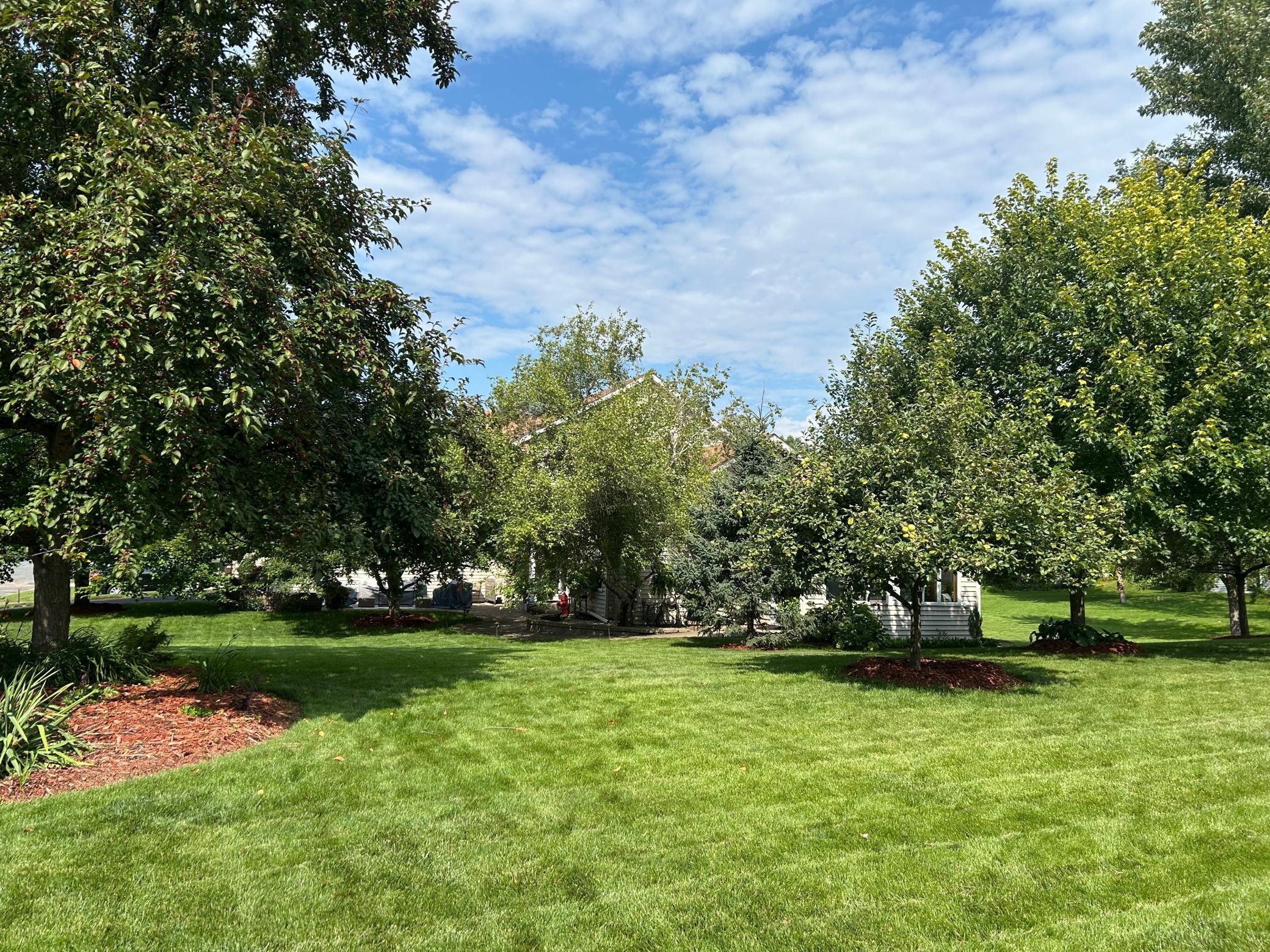 View of the lush corner lot in the heart of summer.