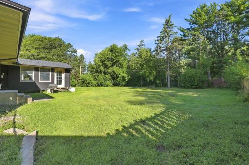 Massive Back Yard