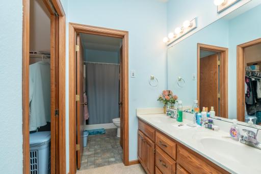419 Independence Street NE, New Prague, MN 56071