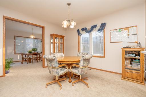 419 Independence Street NE, New Prague, MN 56071